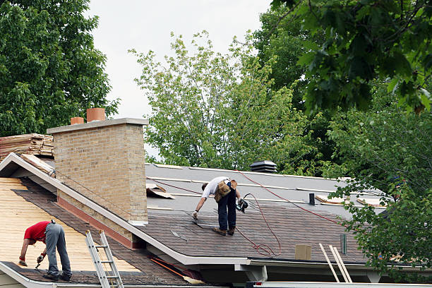 Best Roof Waterproofing Services  in Okemos, MI
