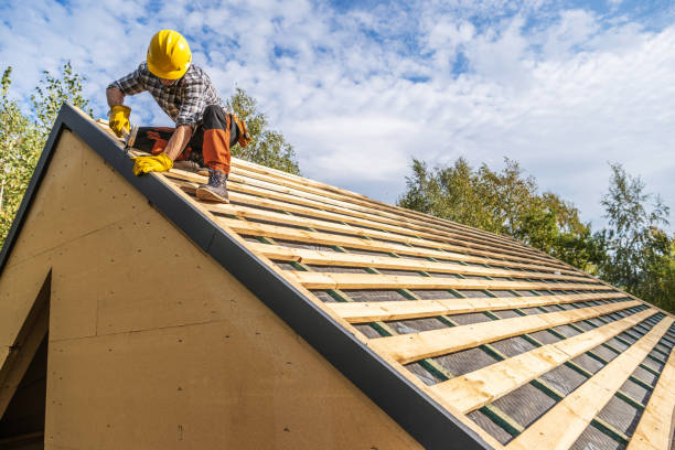 Best Sealant for Roof  in Okemos, MI